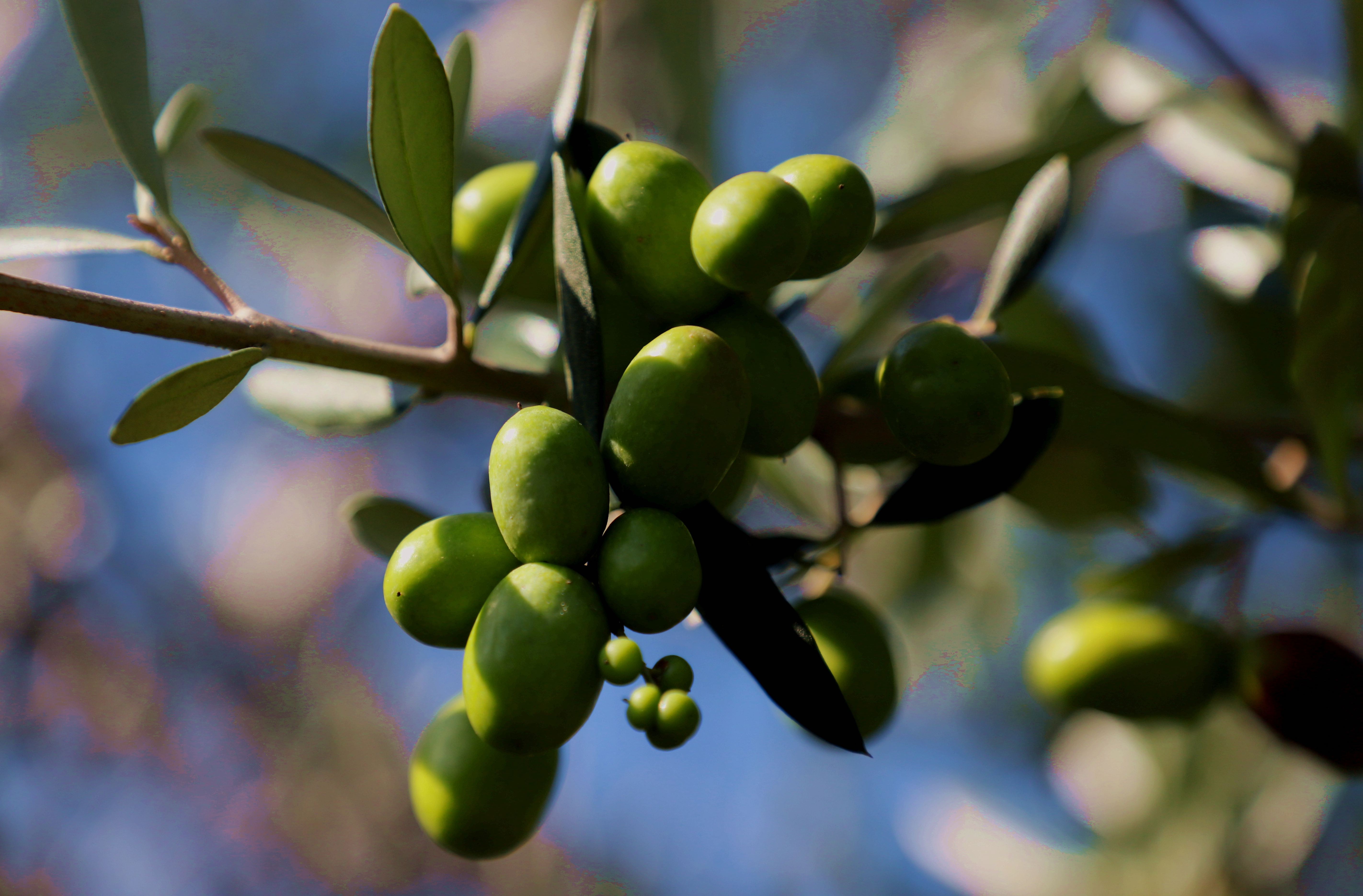 cover of previous post